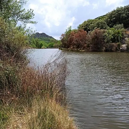 Prázdninový dům Les Olivettes *