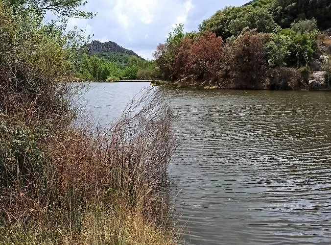 Feriehus Les Olivettes *